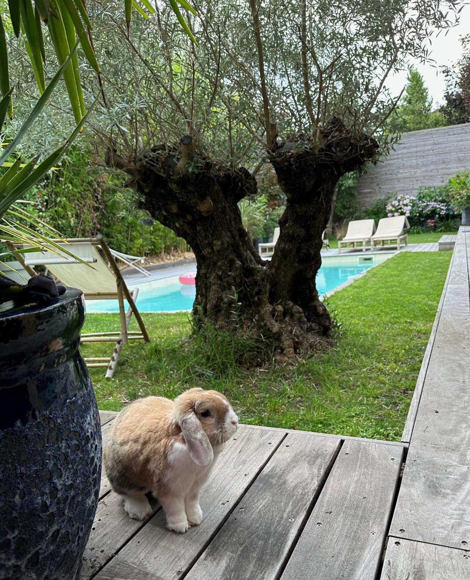 Les Pénates Bordelaises - D'hôtes Casa de hóspedes Bordéus